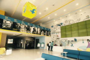 New Flipkart CEO : Kalyan Krishnamurthy