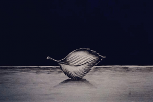 #CaptionTheImage : Alone