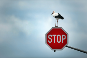 Top 10 things that Entrepreneur need to stop now