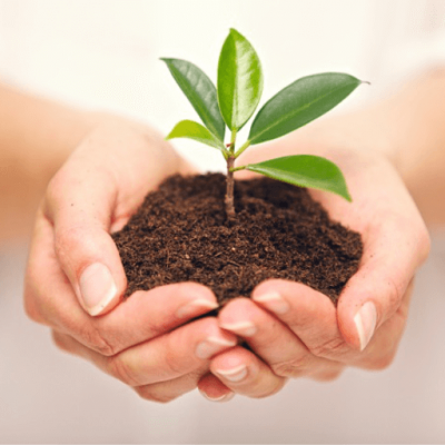 save-trees-hindi-poetry