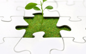 What is career scope in Entrepreneurship?