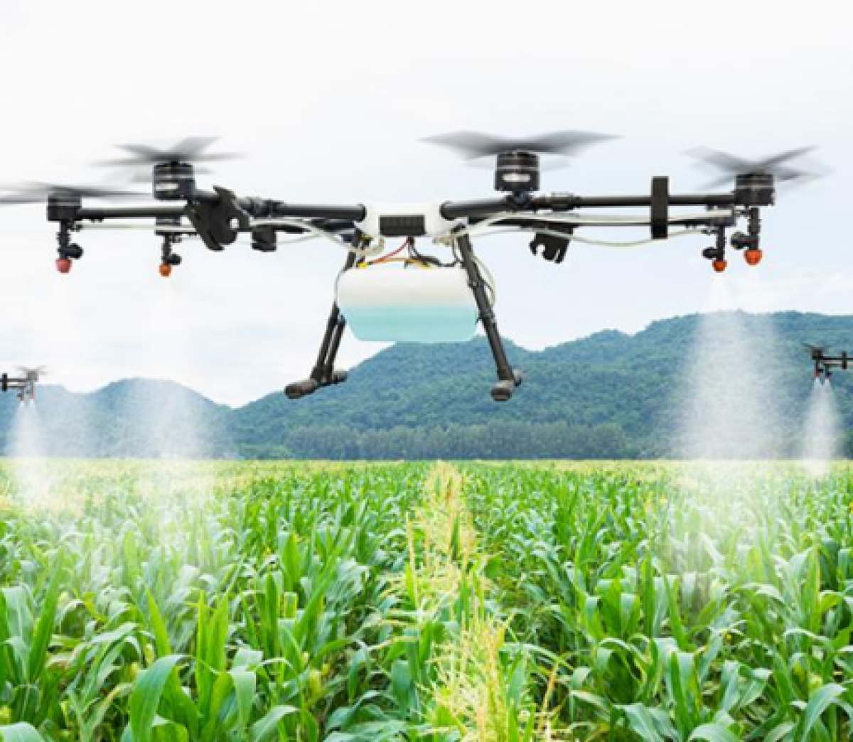 AI Powered Carbon Credit AgriTech Platform