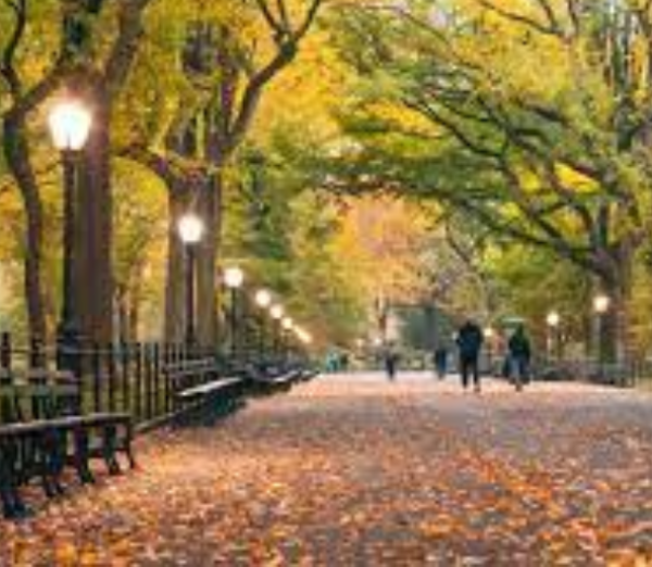 Central-Park-New-York