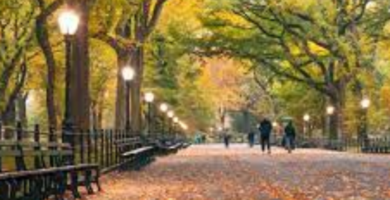 Central-Park-New-York