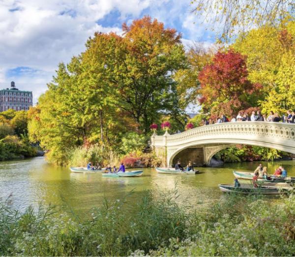 Central-Park-New-York
