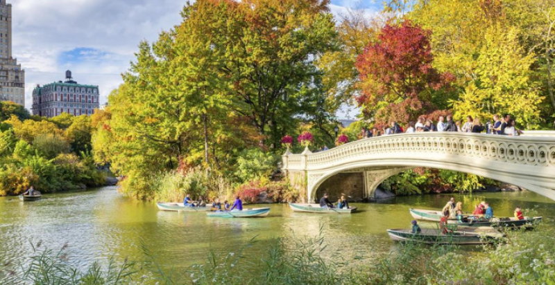 Central-Park-New-York