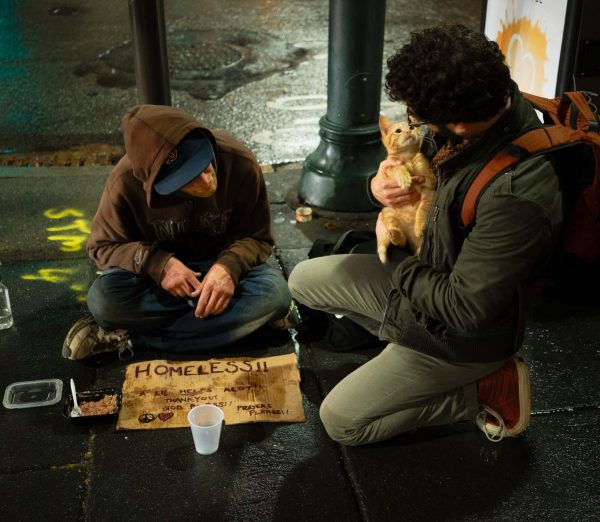 Effective Entrepreneurial Solution to Unemployment