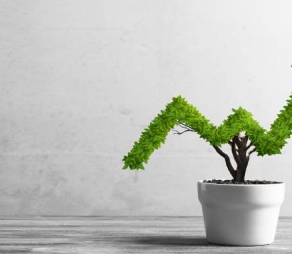 How To Increase Your Business Revenue