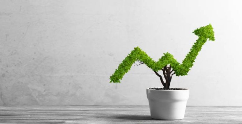 How To Increase Your Business Revenue