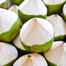 benefits-of-coconut-water