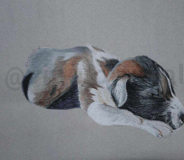 captiontheimage-silence