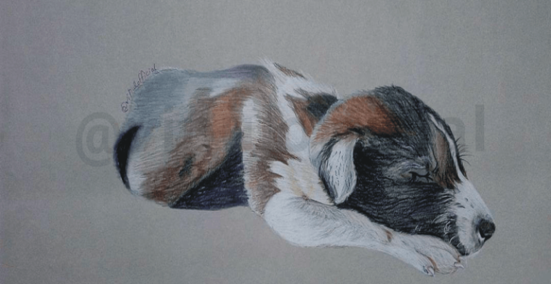 captiontheimage-silence