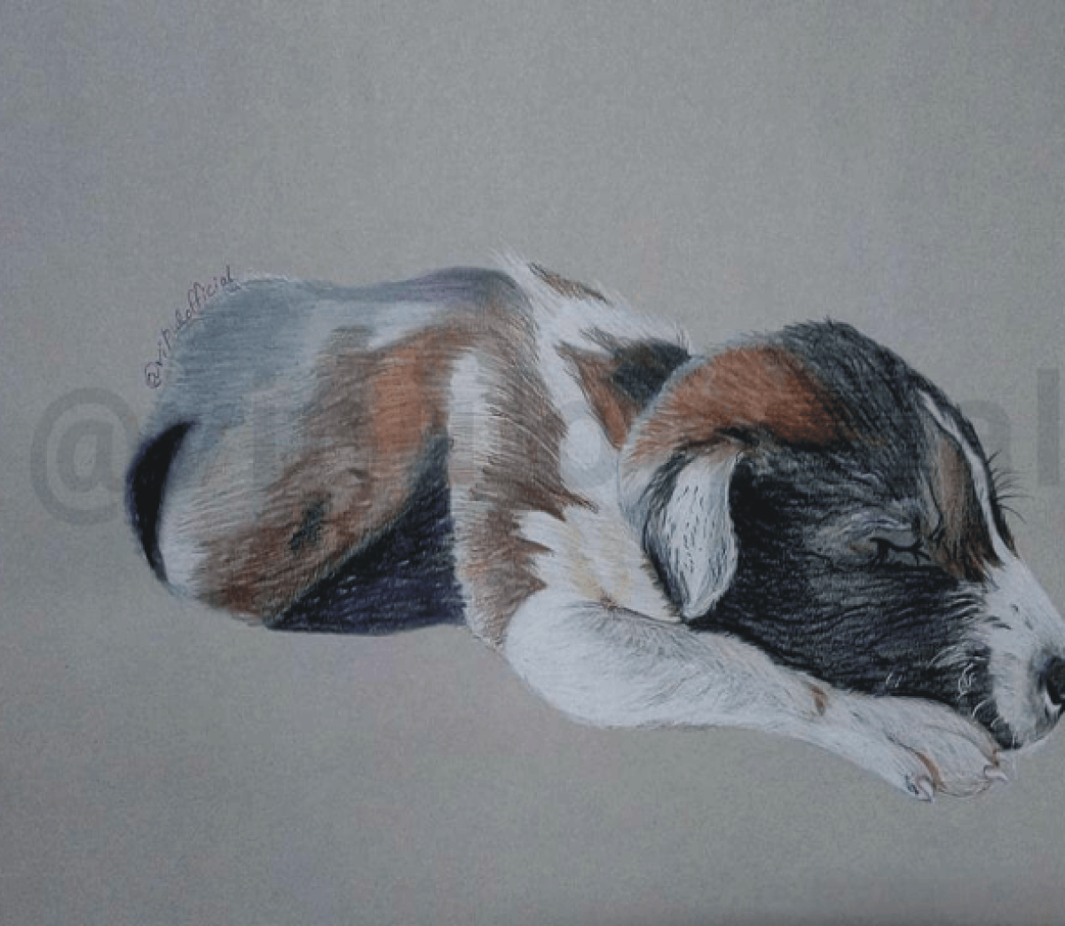 captiontheimage-silence