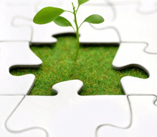 career-scope-in-entrepreneurship