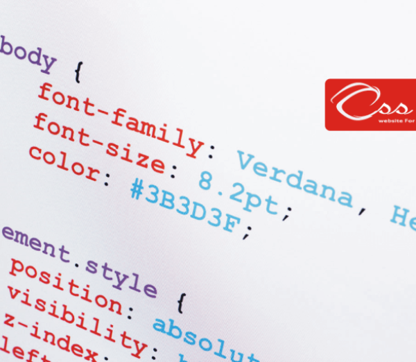css-founder-website-for-everyone-main
