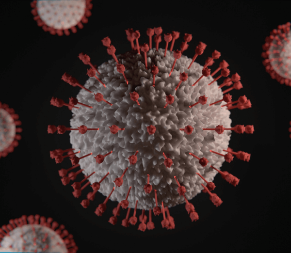 impact-of-covid-on-indian-startups-wext