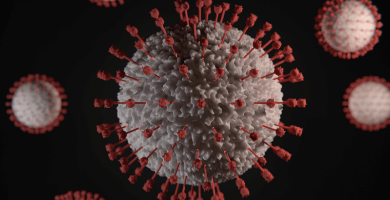 impact-of-covid-on-indian-startups-wext