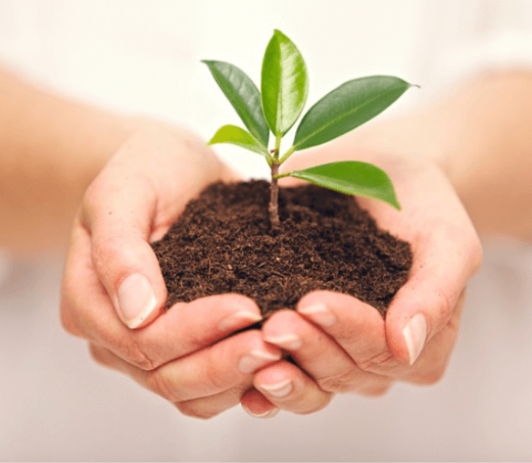 save-trees-hindi-poetry