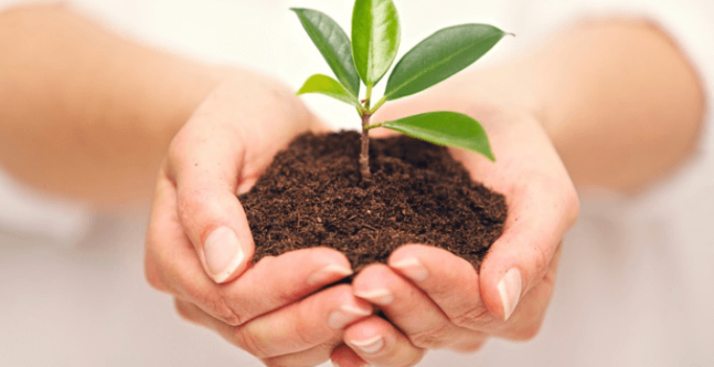 save-trees-hindi-poetry