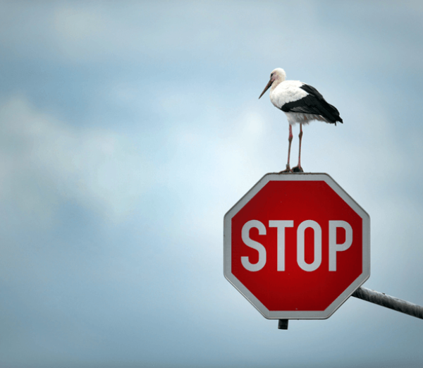 top-10-things-that-entrepreneur-need-to-stop-now